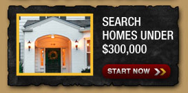 Search Homes Under $300,000