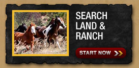 Search Land and Recreation