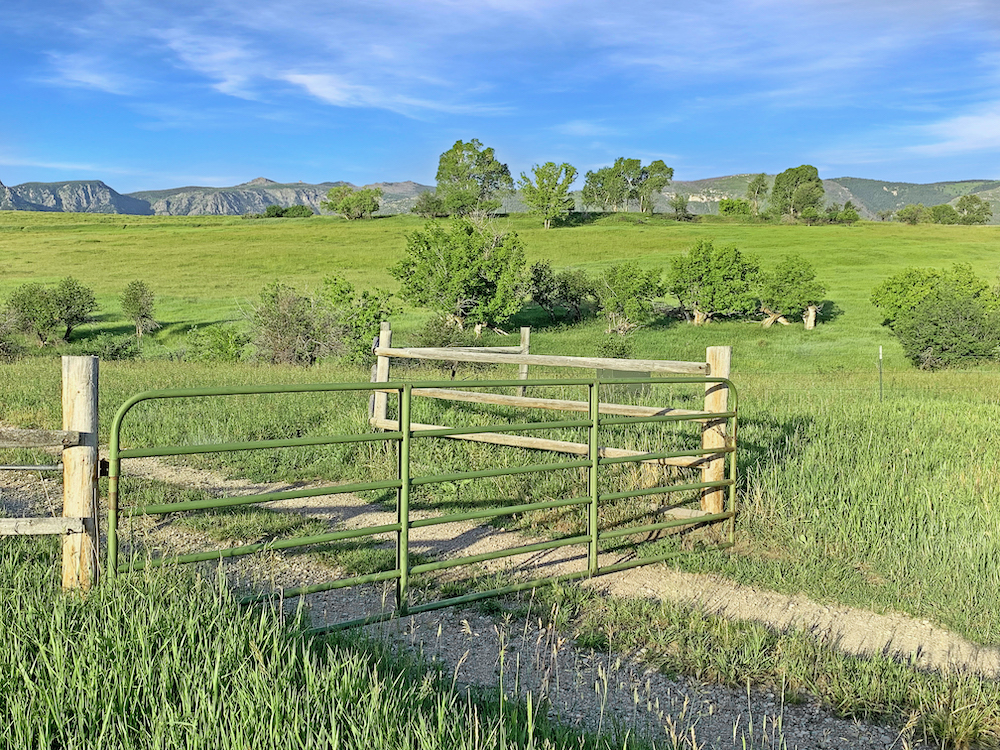 fenced meadow