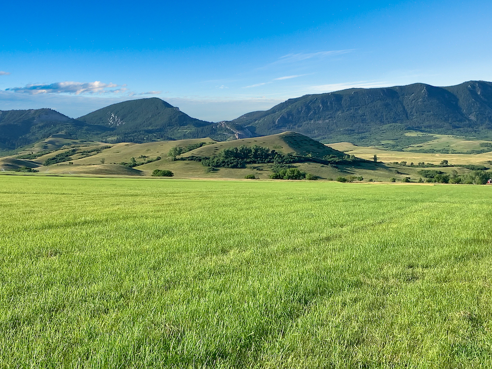 field with mountains in background