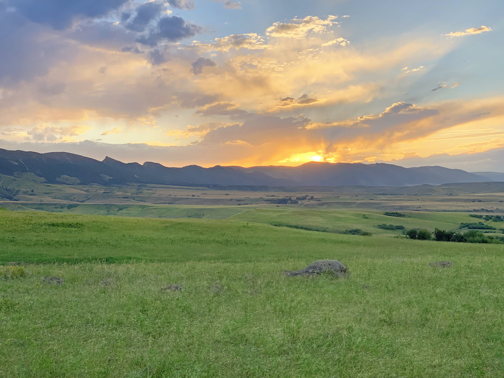 sun rising over meadow
