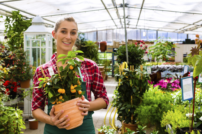 local gardening