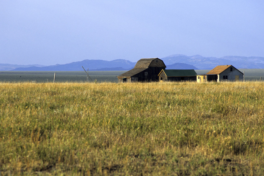 the beauty of the bighorn mountains