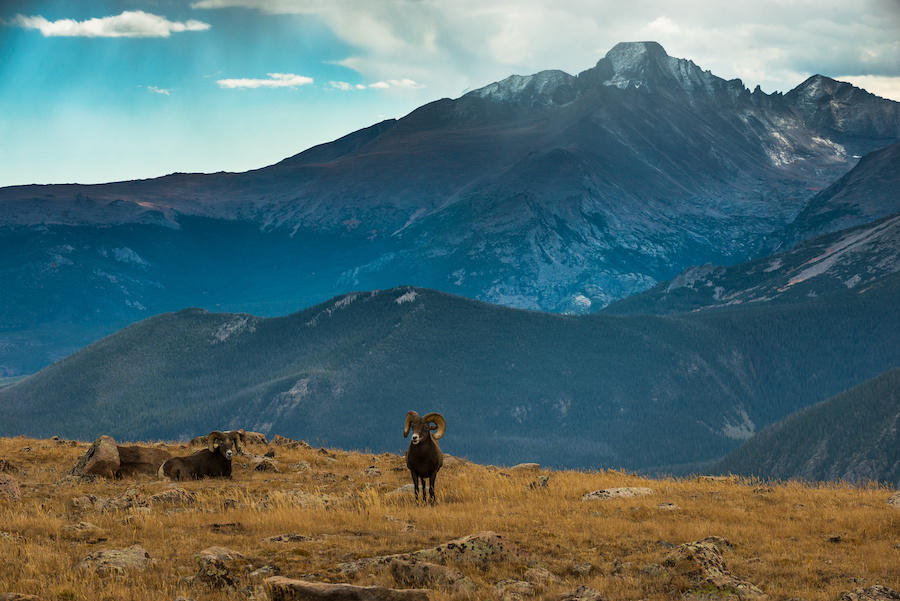 the beauty of the bighorn mountains