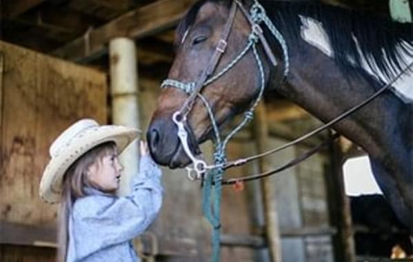 Girl petting a horse