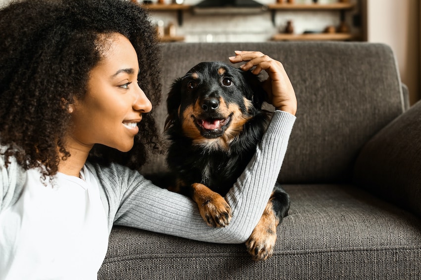 dog owner with pet