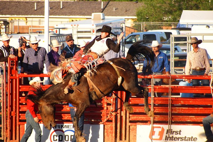Century 21 BHJ in Sheridan WYO Rodeo